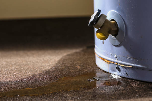  Leesville, LA Water damage restoration Pros