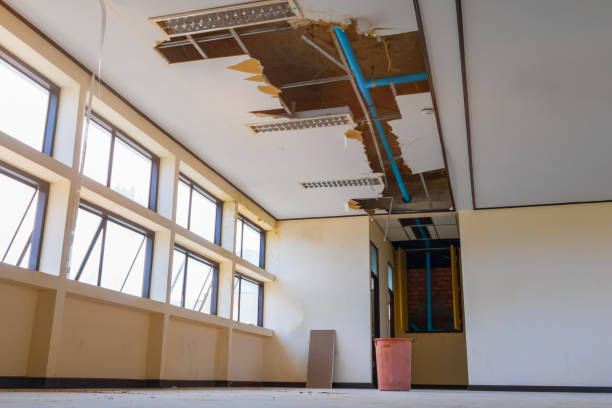  Leesville, LA Water damage restoration Pros