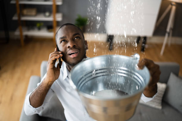 Best Flooded house restoration  in Leesville, LA
