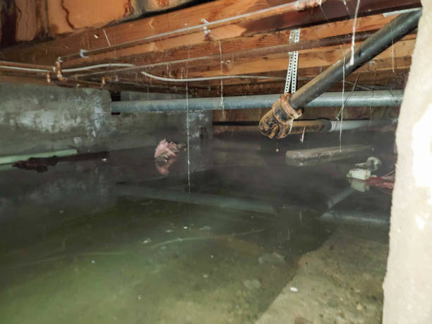 Best Local water damage restoration  in Leesville, LA