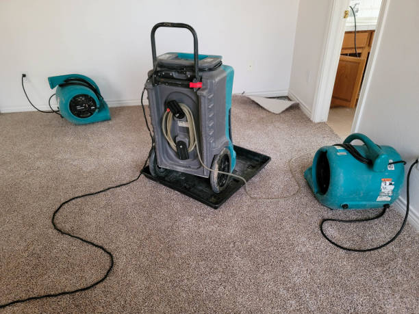 Best Water damage restoration near me  in Leesville, LA