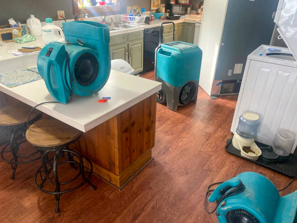 Best 24-hour water damage restoration  in Leesville, LA