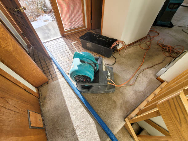 Best Emergency water damage restoration  in Leesville, LA