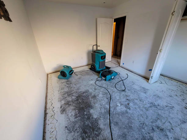 Best Water damage restoration near me  in Leesville, LA