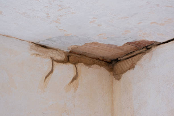 Water damage restoration experts in Leesville, LA