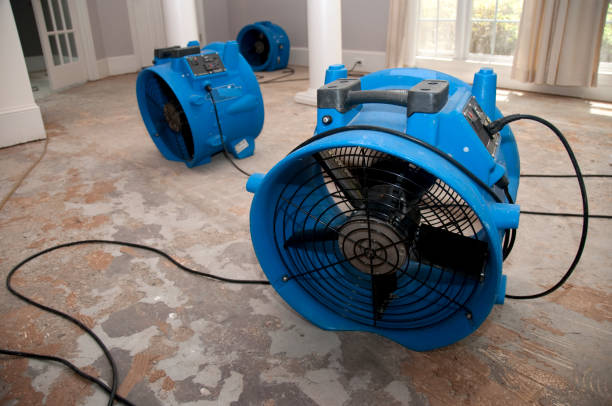 Best Commercial water damage restoration  in Leesville, LA