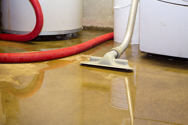 Best Flooded house restoration  in Leesville, LA
