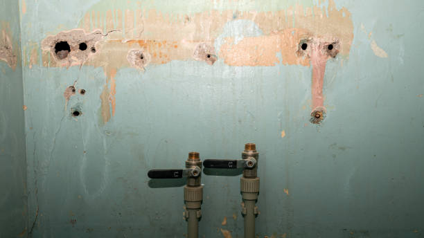 Best Commercial water damage restoration  in Leesville, LA