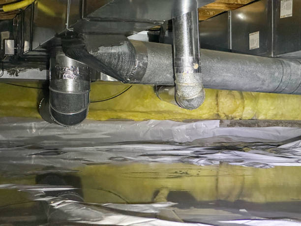 Best Local water damage restoration  in Leesville, LA