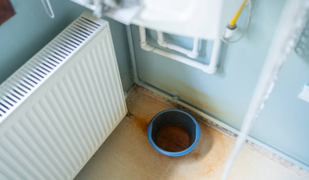 Best Flood restoration services  in Leesville, LA