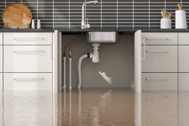 Best Water damage restoration services  in Leesville, LA