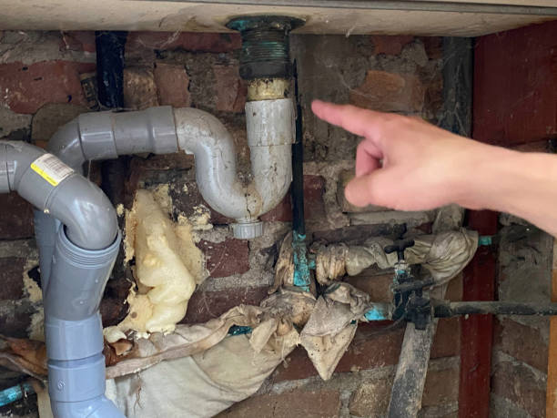 Best Water damage cleanup near me  in Leesville, LA