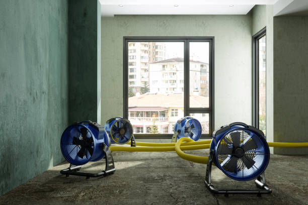 Best Water damage restoration experts  in Leesville, LA