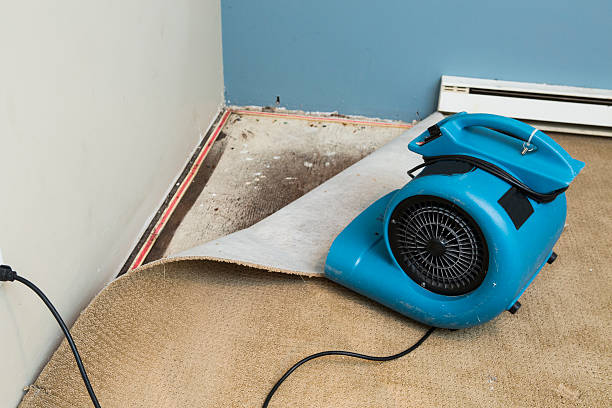 Trusted Leesville, LA Water damage restoration Experts